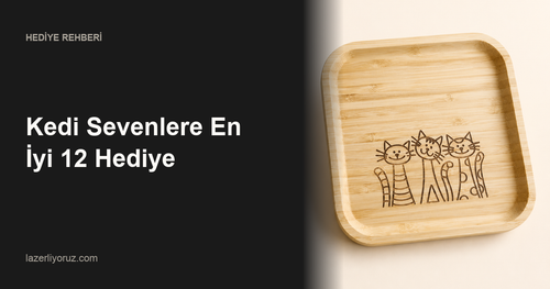 Kedi Sevenlere En İyi 12 Hediye — Lazerliyoruz